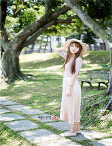 《鲨鱼》