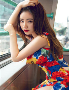 《猫和老鼠乘猫之危》