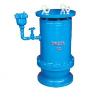  CARX3系(xi)列複合(he)式排氣(qi)閥